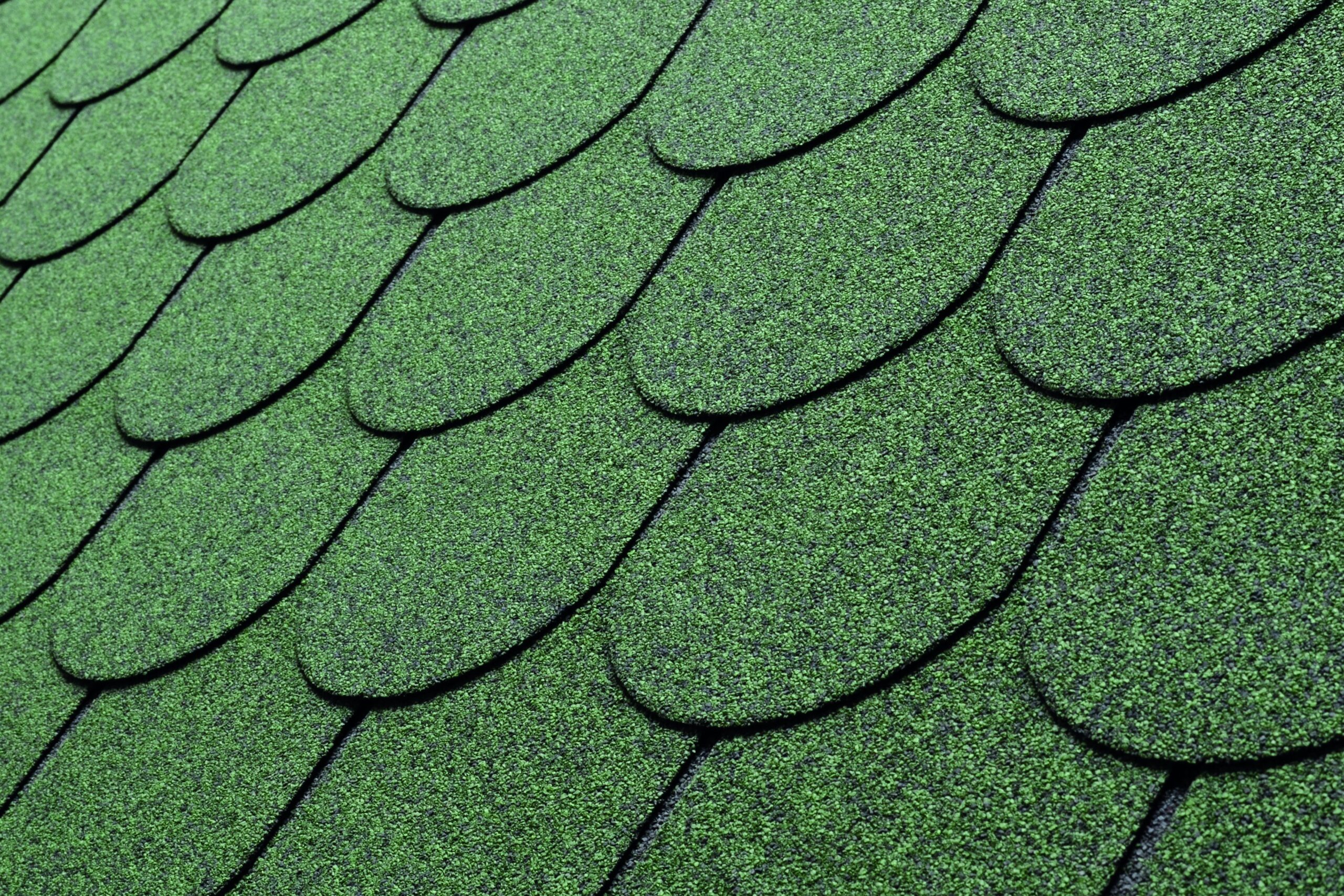 charBIT® roof shingle BEAVERTILE